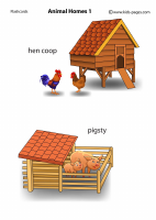 Animal Homes1_medium.pdf